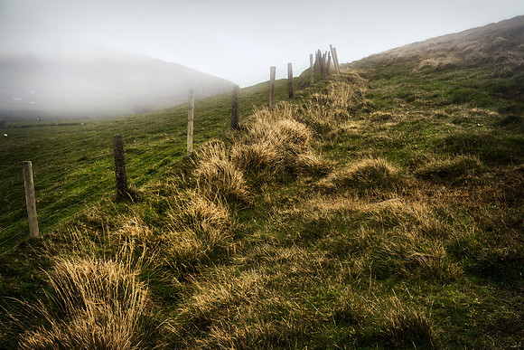 Fermoyle Fences and Fields #6