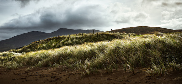 Fermoyle Fences and Fields #2 crop