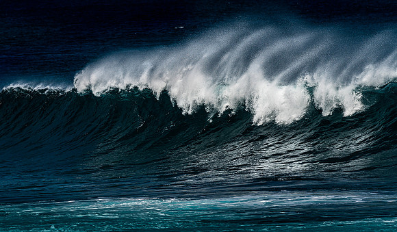 Maui Surf #4