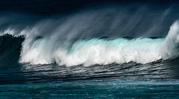Maui Surf #6