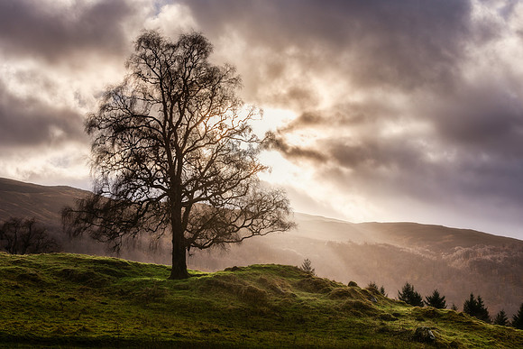 Killiecrankie Golden Hour #2 Getty
