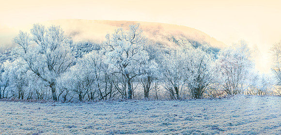 Frozen-Loch-Oich-Forest-Edge Getty