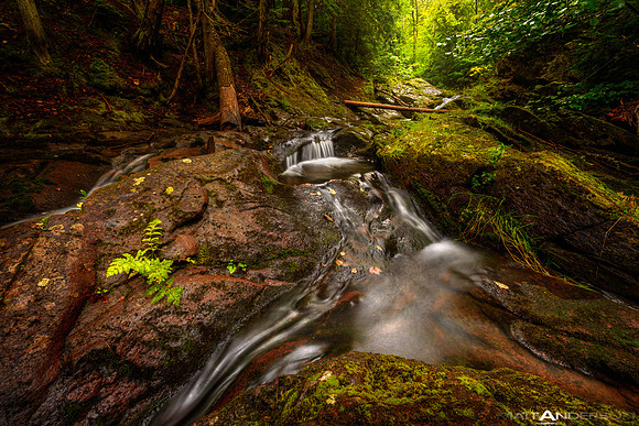Little Carp Creek Upper Michigan #2_3000px