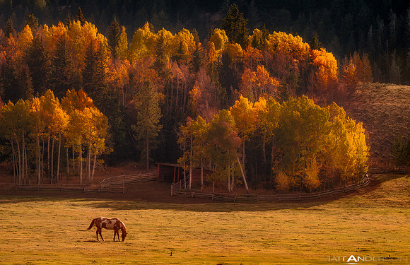 Gros Ventre Ranch Sunset by matt anderson