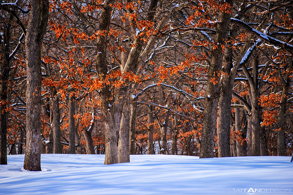 Fall Remains