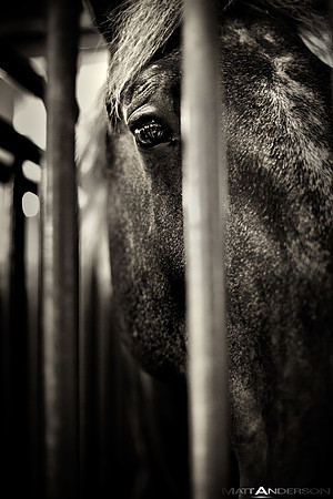 Alone_3000px