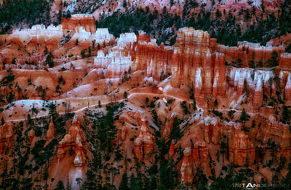 Bryce Canyon, Utah #1
